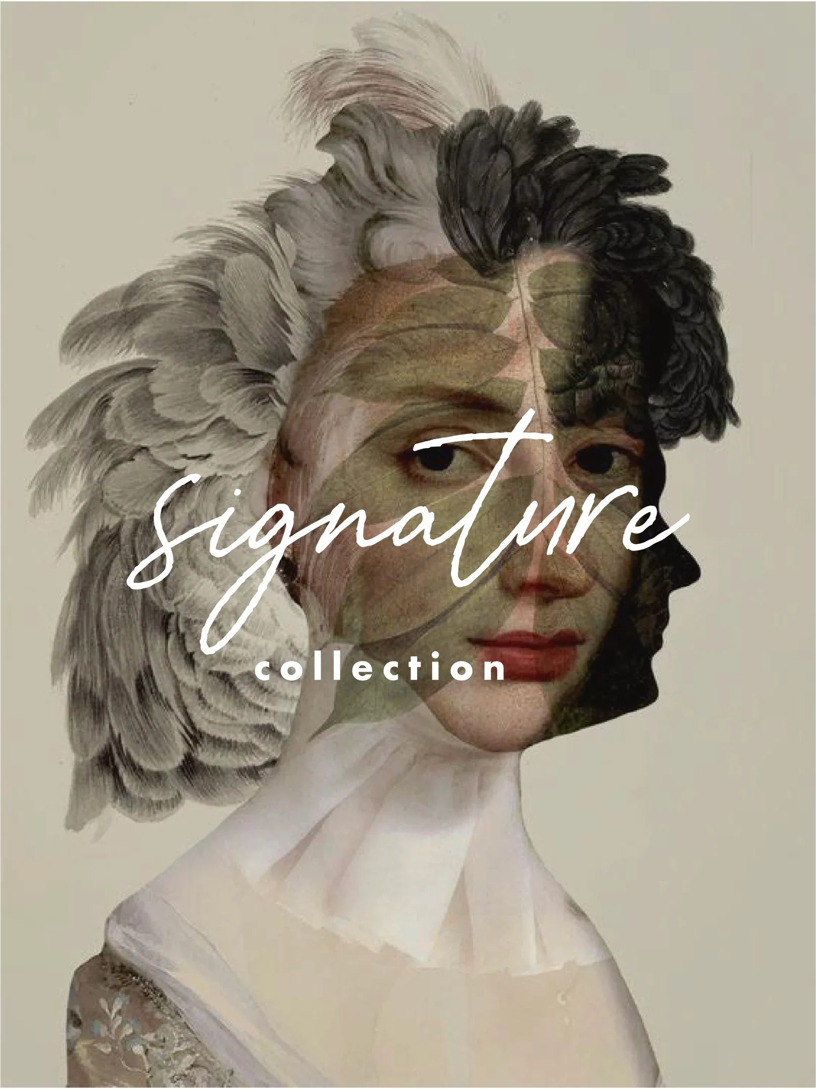 Signature Collection FW26