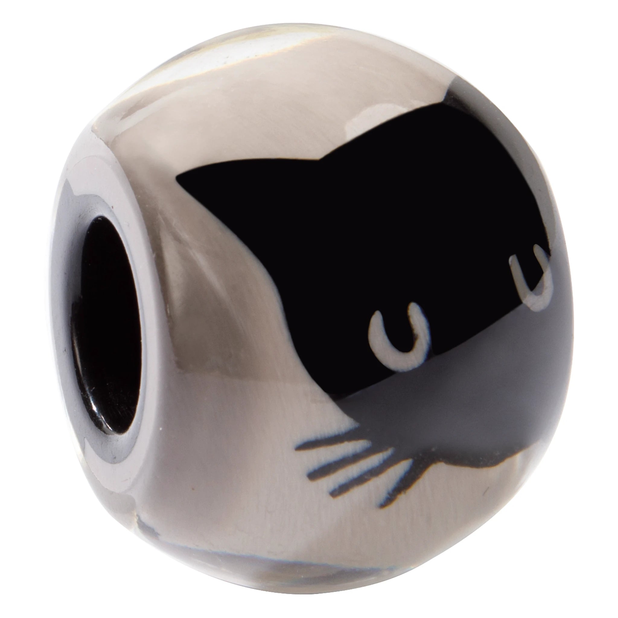 CAT06
